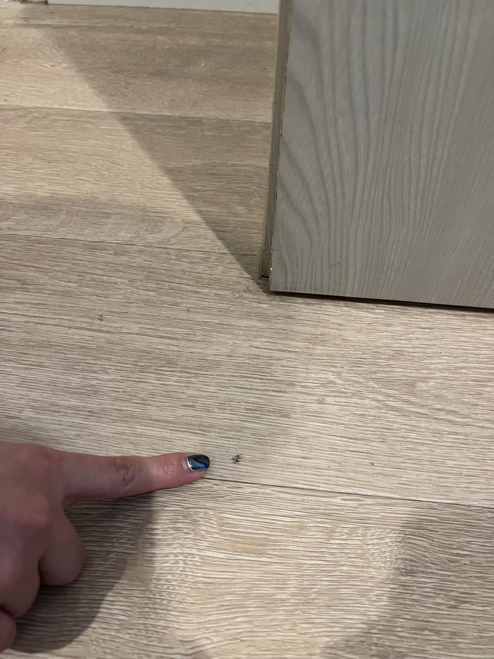 入居時の床。既にあった小さなキズを指差して記録している
